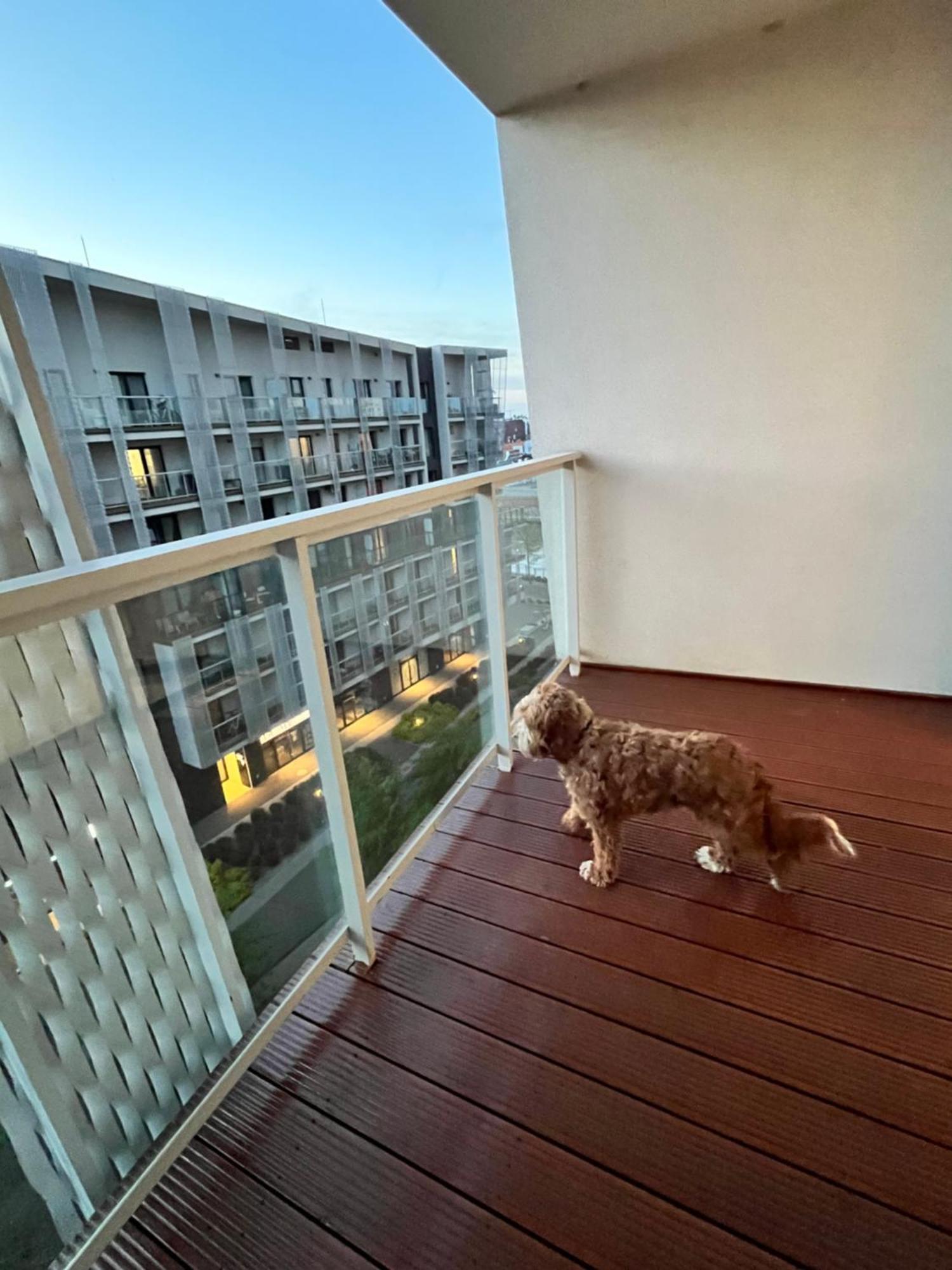 Family House By The River Odra -Panoramic Terrace - 3Room Apartment With 2 Separate Bedrooms And 2 Balconies By Wroapart-Pl- Perfect For Family & Business Stays Wrocław Buitenkant foto